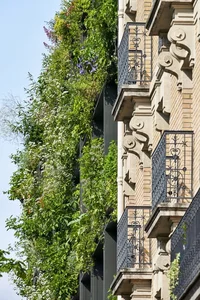 Biophilic Architecture: The Innovative Building Using Living Green Curtains for Natural Cooling - image 2
