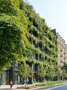 Biophilic Architecture: The Innovative Building Using Living Green Curtains for Natural Cooling - image 0