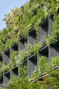 Biophilic Architecture: The Innovative Building Using Living Green Curtains for Natural Cooling - image 7