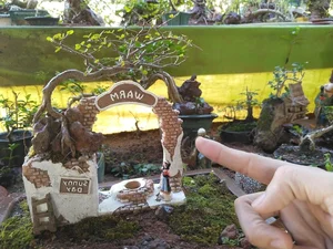 Discover the World Record Mini Bonsai Collection of a Nha Trang Artisan - image 2