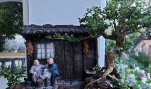 Discover the World Record Mini Bonsai Collection of a Nha Trang Artisan - image 7