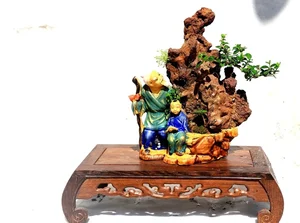 Discover the World Record Mini Bonsai Collection of a Nha Trang Artisan - image 9