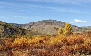 Mind-Blowing and Interesting Facts About Mongolia You Didn't Know - image 1