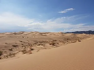 Mind-Blowing and Interesting Facts About Mongolia You Didn't Know - image 4
