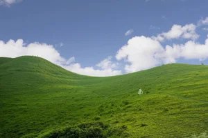 Vinh Quy Grass Hill: A Picturesque Destination for Camping and Cloud Hunting - image 9