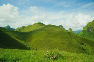 Vinh Quy Grass Hill: A Picturesque Destination for Camping and Cloud Hunting - image 5