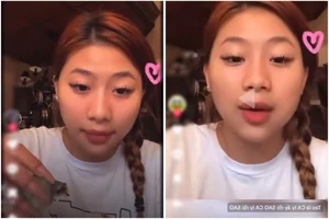 Louis Pham TikTok Account Deleted Following Controversial Artwork Backlash - image 1