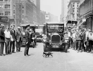 Rare Historical Photos: Unveiling Hidden Stories and Untold Chapters of Human History - image 11