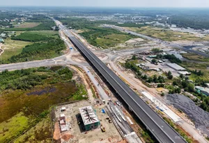 Ben Luc - Long Thanh Expressway Mangrove Forest Section Nears Completion - image 5