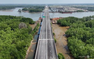 Ben Luc - Long Thanh Expressway Mangrove Forest Section Nears Completion - image 2