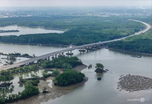 Ben Luc - Long Thanh Expressway Mangrove Forest Section Nears Completion - image 3