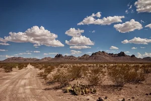 Unexplained Mystery: The Silent Zone Linked to Extraterrestrial Activity - image 5