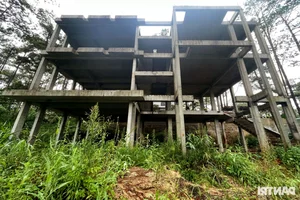 The Mysterious Abandoned Villas Hidden Deep Within the Misty Forests of Mang Den - image 7