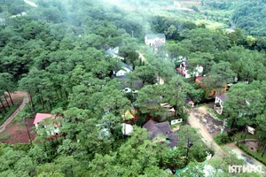 The Mysterious Abandoned Villas Hidden Deep Within the Misty Forests of Mang Den - image 2
