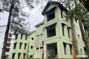 The Mysterious Abandoned Villas Hidden Deep Within the Misty Forests of Mang Den - image 5