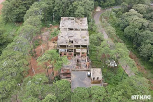 The Mysterious Abandoned Villas Hidden Deep Within the Misty Forests of Mang Den - image 8