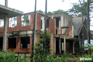 The Mysterious Abandoned Villas Hidden Deep Within the Misty Forests of Mang Den - image 6