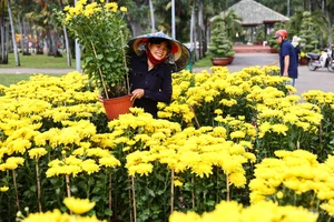 Bustling Scenes: Crowds Rush for Discounted Tet Flowers in Ho Chi Minh City - image 8