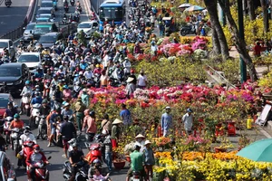 Bustling Scenes: Crowds Rush for Discounted Tet Flowers in Ho Chi Minh City - image 2