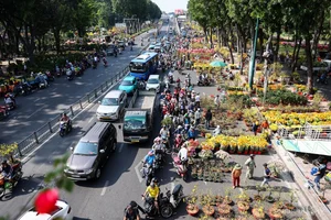 Bustling Scenes: Crowds Rush for Discounted Tet Flowers in Ho Chi Minh City - image 5