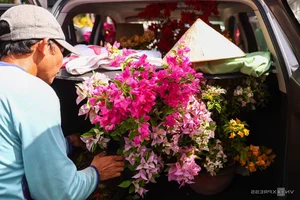 Bustling Scenes: Crowds Rush for Discounted Tet Flowers in Ho Chi Minh City - image 4