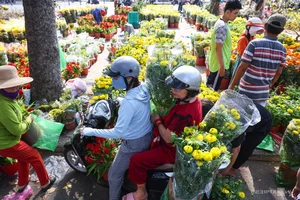 Bustling Scenes: Crowds Rush for Discounted Tet Flowers in Ho Chi Minh City - image 1