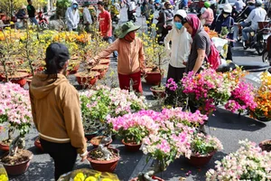 Bustling Scenes: Crowds Rush for Discounted Tet Flowers in Ho Chi Minh City - image 3