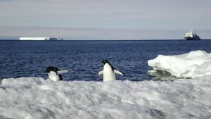 Life in the Extreme: What Antarctica’s Crimson Blood Falls Teaches Us About Alien Worlds - image 2