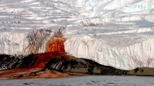 Life in the Extreme: What Antarctica’s Crimson Blood Falls Teaches Us About Alien Worlds - image 7
