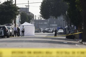 Safety and Security Analysis Following Tragic Shooting Incident at US Music Festival - image 1