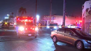 Safety and Security Analysis Following Tragic Shooting Incident at US Music Festival - image 2
