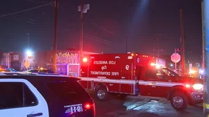 Safety and Security Analysis Following Tragic Shooting Incident at US Music Festival - image 7