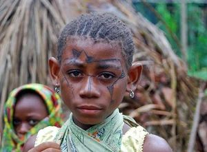 Master Hunters: The Extraordinary Survival Skills of Africa's Small-Stature Tribes - image 2