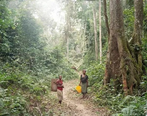 Master Hunters: The Extraordinary Survival Skills of Africa's Small-Stature Tribes - image 7