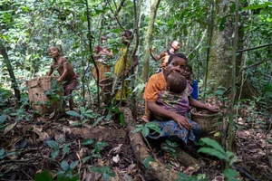 Master Hunters: The Extraordinary Survival Skills of Africa's Small-Stature Tribes - image 5