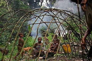 Master Hunters: The Extraordinary Survival Skills of Africa's Small-Stature Tribes - image 0