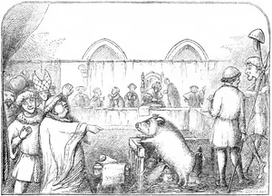 Weird History: The Bizarre World of Medieval Animal Trials - image 8