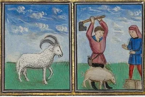 Weird History: The Bizarre World of Medieval Animal Trials - image 4