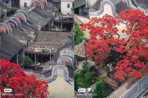 The Architectural Wonder and Meaning Behind Wok-Ear Houses in Ancient Chinese Villages - image 9
