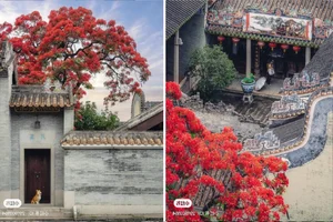 The Architectural Wonder and Meaning Behind Wok-Ear Houses in Ancient Chinese Villages - image 4