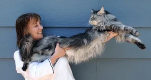 8 Unbelievable Guinness World Records That Have Never Been Broken - image 4