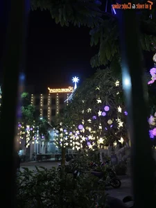 Hanoi's Most Beautiful Churches Decorated for Christmas - image 8