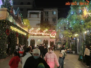 Hanoi's Most Beautiful Churches Decorated for Christmas - image 9