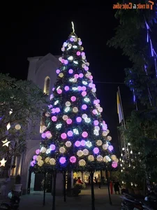 Hanoi's Most Beautiful Churches Decorated for Christmas - image 5