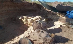 Unveiling Yeneen houssayi: The Massive 10-Ton Prehistoric Titanosaur Discovery That Rewrites Ancient History - image 2