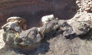 Unveiling Yeneen houssayi: The Massive 10-Ton Prehistoric Titanosaur Discovery That Rewrites Ancient History - image 6