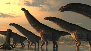 Unveiling Yeneen houssayi: The Massive 10-Ton Prehistoric Titanosaur Discovery That Rewrites Ancient History - image 0