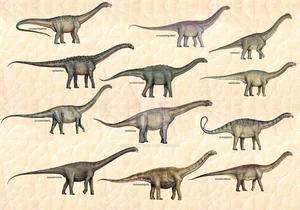 Unveiling Yeneen houssayi: The Massive 10-Ton Prehistoric Titanosaur Discovery That Rewrites Ancient History - image 4