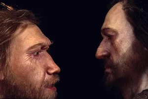 Fascinating Discovery: New Evidence of Neanderthal and Modern Human Interbreeding - image 0