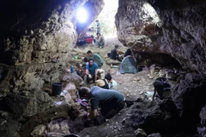 Fascinating Discovery: New Evidence of Neanderthal and Modern Human Interbreeding - image 7